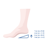 Obrázek Podpatĕnka C