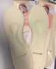 Picture of Orthopaedic insole LIVIA